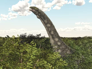 Dinosaurier Diamantinasaurus in einem Regenwald