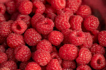 fresh red raspberries on the table