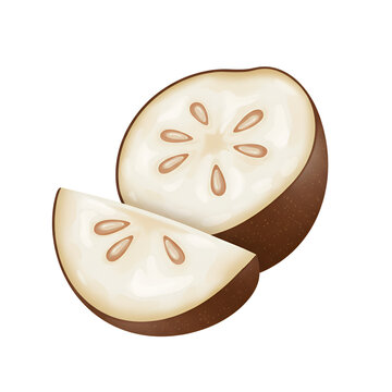 Cut-Open Peumo Image with Soft White Flesh & Bright Colors