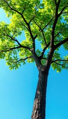 Obraz premium Tree with intricate branches and leaves against a bright blue sky, nature, leaves, foliage