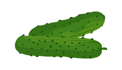 Cucumber icon. Fresh green cucumbers, vitamin vegetable. Vector illustration of healthy food on white background.