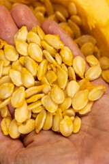 freshly cut orange pumpkin with cooking seeds