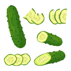 Set of fresh green cucumber Whole and sliced cucumber, slices and halves. Vector illustration of healthy food, farm vegetables on white background.