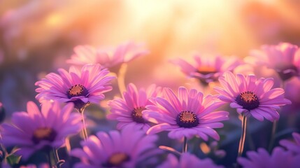 Fototapeta premium Delicate Blooms at Dawn: A Floral Impression of Light and Lavender Hues