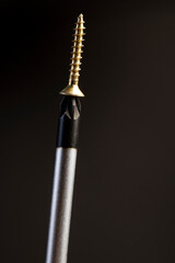 self tapping screws with a beautiful color for finishing and decorative work in construction