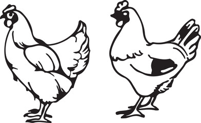 Minimalist Chicken Line Art Illustration Set