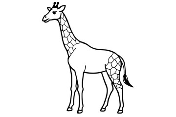 Fototapeta premium Elegant Giraffe Outline