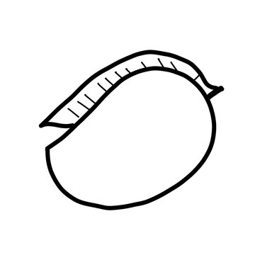 recommend clip art: fruit food nature plant healthy mango summer
                    