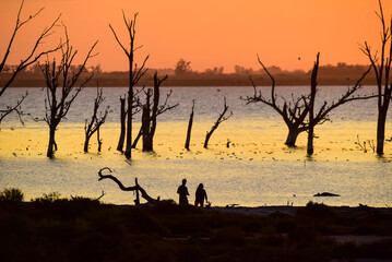 Newlyweds at a romantic wedding, on vacation, on their honeymoon, in a landscape of an orange sunset.