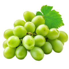 Harvesting fresh green grapes vineyard food photography outdoors