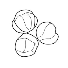 vegetable plant nature food healthy Brussel sprout eating green leaf
