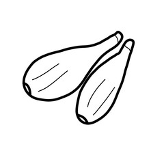 vegetable plant nature food healthy shallot eating onion
