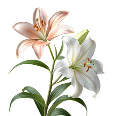 bouquet of lilies