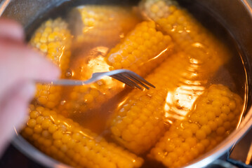 Boiling sweet corn at home. Checking readiness of boiling corn with a fork