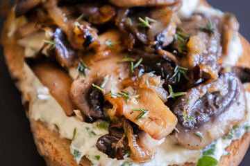 delicious mushroom toast with herb cream cheese, mushrooms, and caramelized onions on a black stone plate close-up