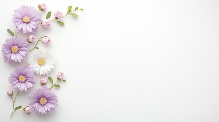 Fototapeta premium Delicate purple and white flowers arranged on a white background with space for text.