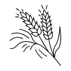 Obraz premium Vector Illustration Wheat Ears Outline Agriculture Symbol for Design or Coloring