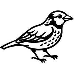 Obraz premium Detailed Vector Sparrow Silhouette for Art Design Tattoos and Coloring Projects