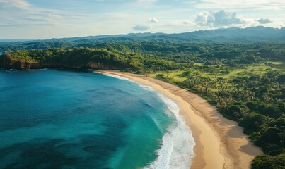 Aerial View of a Tropical Beach
