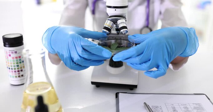 Laboratory research on various cannabis plant compounds is conducted using advanced scientific equipment and techniques