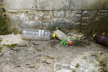 Drainage clogged with plastic bottle waste