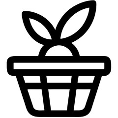 Minimalist Plant in Basket for Eco Friendly Designs and Decor