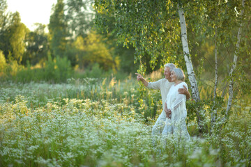 Loving mature couple in the park in summer