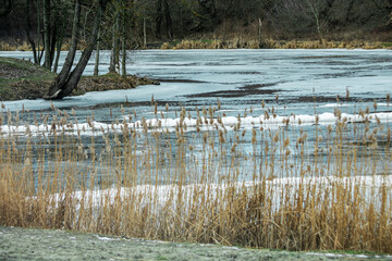 The beginning of spring. Melting ice on the river.