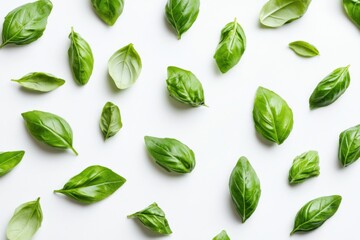 Obraz premium Fresh green basil leaves scattered on white background