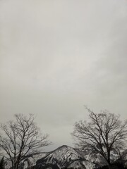 Cold morning in Yuzawa, Japan