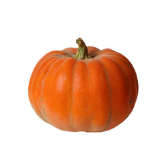 Obraz premium Vibrant orange pumpkin harvesting event farm photography rural setting close-up view seasonal celebration
