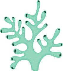 Coral reef branch, turquoise. PNG.