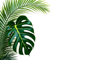 Obraz premium Stock photo of fresh green leaves isolated on a white background for branding purposes
