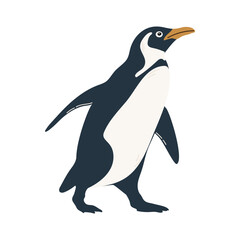 Cute penguin isolated on white background. Polar marine animals. Vector illustration in flat style.