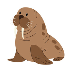 Vector illustration of a walrus on a white background. Wild animal.