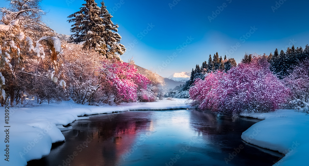 Poster a serene winter landscape features snow-covered ground and trees along a calm river. pink blossoming