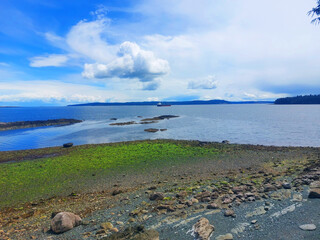 beach and sea in British Columbia