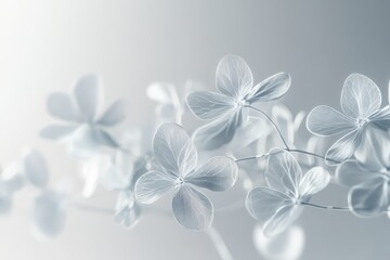 Delicate flowers blooming with a soft and muted color palette