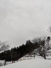 Yuzawa, Japan on a cold March day