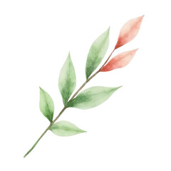 Fototapeta premium Watercolor botanical illustration of leaves nature studio art piece serene environment close-up view