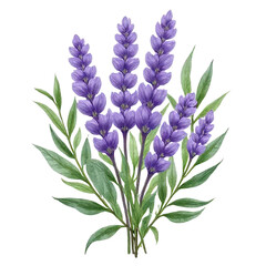 Obraz premium Vibrant watercolor floral arrangement garden botanical art lush greenery close-up nature beauty