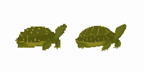Two green turtles in pixel art style show detailed shells and simple block shapes.