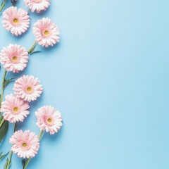 Naklejka premium Background with flowers. Pink flowers on blue background. Valentine's day, mother's day, women's day concept. Flat lay, wallpaper, top view, copy space 
