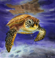 Watercolor illustration of a colorful sea turtle swimming in the vivid blue sea (This illustration was drawn by hand without the use of generative AI!)