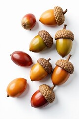 Several acorns, various sizes, clean white background, autumn, harvest