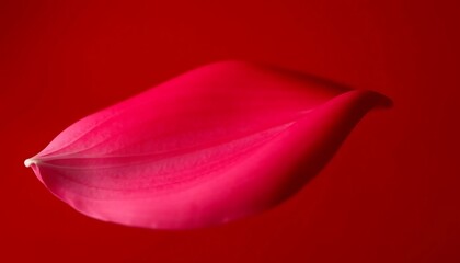 A singular red flower petal floating against a red background