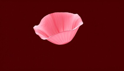 Fototapeta premium A solitary pink petal floats against a dark red background
