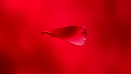 A single vibrant red petal floats against a vivid red background