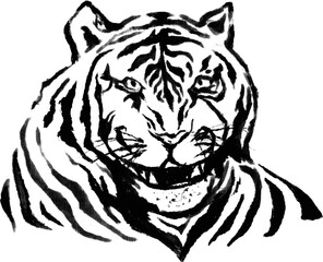 tiger head vector