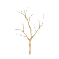 Delicate watercolor tree illustration nature scene botanical artwork minimalist design artistic perspective